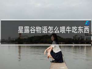 星露谷物语怎么喂牛吃东西