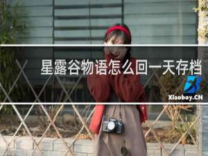 星露谷物语怎么回一天存档