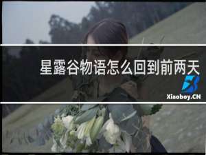 星露谷物语怎么回到前两天