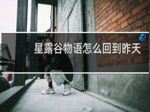 星露谷物语怎么回到昨天