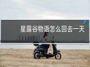 星露谷物语怎么回去一天