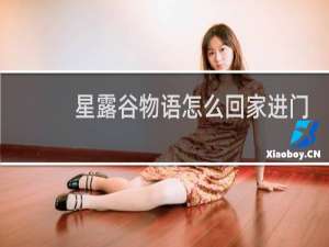 星露谷物语怎么回家进门
