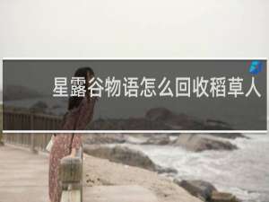 星露谷物语怎么回收稻草人