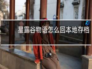 星露谷物语怎么回本地存档