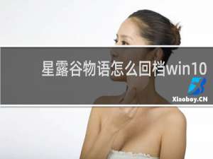 星露谷物语怎么回档win10