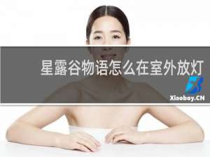 星露谷物语怎么在室外放灯
