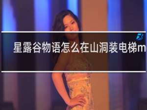 星露谷物语怎么在山洞装电梯mod