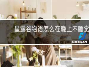 星露谷物语怎么在晚上不睡觉
