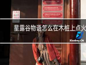 星露谷物语怎么在木桩上点火