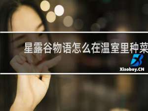 星露谷物语怎么在温室里种菜