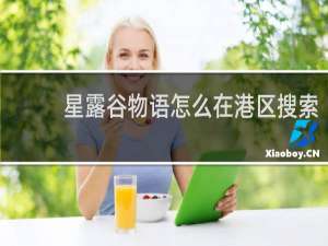 星露谷物语怎么在港区搜索