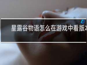 星露谷物语怎么在游戏中看版本