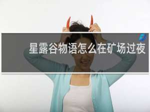 星露谷物语怎么在矿场过夜