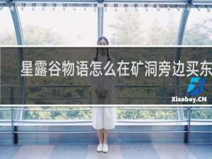 星露谷物语怎么在矿洞旁边买东西