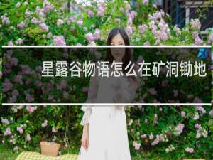 星露谷物语怎么在矿洞锄地