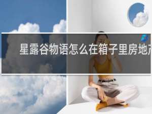 星露谷物语怎么在箱子里房地产