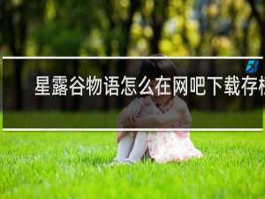 星露谷物语怎么在网吧下载存档