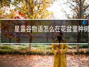 星露谷物语怎么在花盆里种树