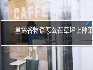 星露谷物语怎么在草坪上种菜