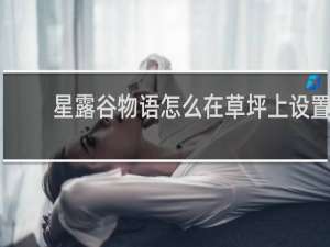 星露谷物语怎么在草坪上设置