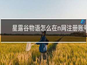 星露谷物语怎么在n网注册账号