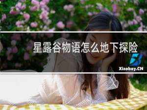 星露谷物语怎么地下探险