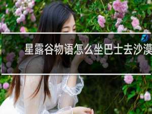 星露谷物语怎么坐巴士去沙漠