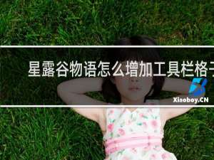 星露谷物语怎么增加工具栏格子