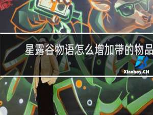 星露谷物语怎么增加带的物品