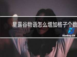 星露谷物语怎么增加格子个数