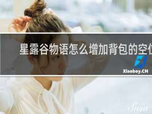 星露谷物语怎么增加背包的空位