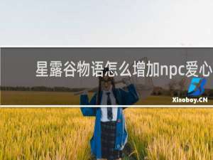 星露谷物语怎么增加npc爱心