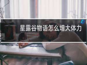 星露谷物语怎么增大体力