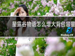 星露谷物语怎么增大背包容量