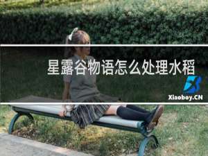 星露谷物语怎么处理水稻