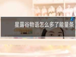 星露谷物语怎么多了能量条