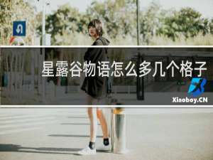 星露谷物语怎么多几个格子