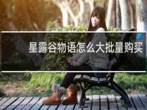 星露谷物语怎么大批量购买