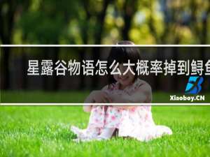 星露谷物语怎么大概率掉到鲟鱼