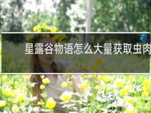 星露谷物语怎么大量获取虫肉