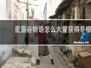 星露谷物语怎么大量获得冬根