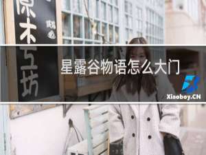星露谷物语怎么大门