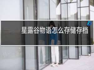 星露谷物语怎么存储存档