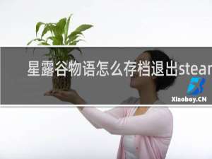 星露谷物语怎么存档退出steam