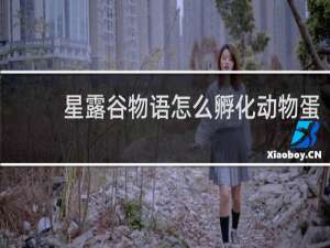 星露谷物语怎么孵化动物蛋