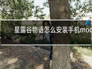 星露谷物语怎么安装手机mod