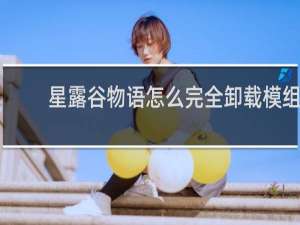 星露谷物语怎么完全卸载模组