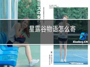 星露谷物语怎么寄