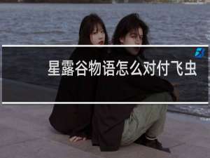 星露谷物语怎么对付飞虫