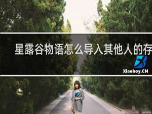 星露谷物语怎么导入其他人的存档